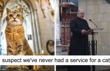 Odchodzi kot, który mieszkał w kościele przez 12 lat