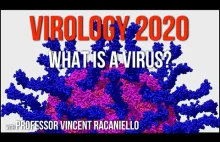 [ENG] Virology Lectures 2020 #1: What is a Virus?