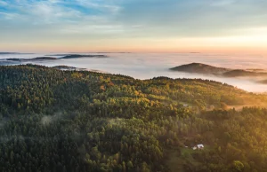 Podkarpackie atrakcje - bo Podkarpacie to nie tylko bieszczadzkie połoniny