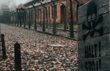 12 kroków do pokonania traumy od ocalałej z Holokaustu