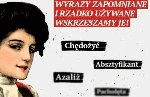 Chędożyć, absztyfikant, huncwot. Wyrazy zapomniane i rzadko używane –...