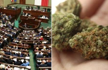 Posłowie przygotowują projekt legalizacji niewielkich ilości marihuany na własny