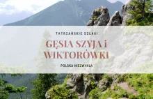 Tatrzańskie szlaki: Gęsia Szyja, Polana Rusinowa i Wiktorówki