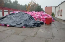 Hałdy „covidowych” śmieci pod szpitalem w Grudziądzu