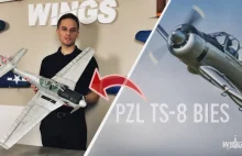 Modelarstwo RC dla każdego - PZL TS-8 Bies