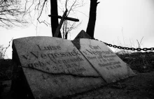 Historia rodu Vegesack. Samotna mogiła w środku lasu.