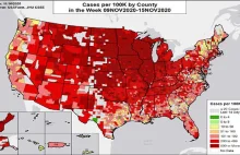 USA: Czerwona fala COVID-19 we wszystkich stanach. Ponad 2 tys. zgonów dziennie