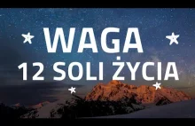 WAGA - 12 SOLI ŻYCIA - MAGAVENA