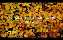 Relaksujące piękno jesieni w 4K - Irlandia