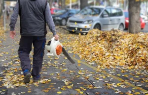 Koniec dmuchaw do liści. Od nowego roku nie mogą ich stosować także spółdzielnie