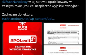 Bosak zaprasza do lektury dokumentu RN: "PolExit. Bezpieczne wyjaście awaryjne"
