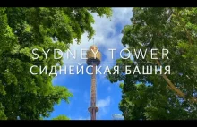 Wieża w Sydney - Sydney Tower