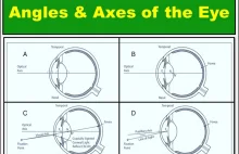 Axes of the Eye: Optical, Visual Axis, Angles & More | Health Kura