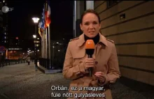 „Unia Europejska bez głupich Węgrów i Polaków” w niemieckiej telewizji...