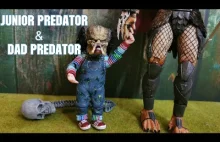 Predator & Junior Predator ( Stop Motion )