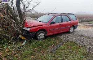 Pijany 15-latek zabrał kumpli na wycieczkę autem ojca. Finał na drzewie -...