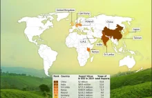 Czy wiecie, że Polska jest 5, największym eksporterem herbaty na świecie?