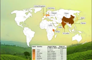 Czy wiecie, że Polska jest 5, największym eksporterem herbaty na świecie?