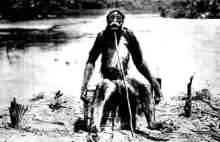 Małpa de Loysa (zagubiony hominid?)
