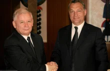 Balint Magyar: Polak, Węgier - dwa gagatki. Czy oba reżimy są takie same?