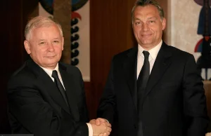 Balint Magyar: Polak, Węgier - dwa gagatki. Czy oba reżimy są takie same?