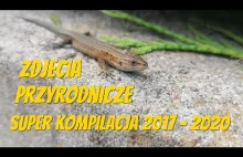 Zdjęcia Przyrodnicze // Super Kompilacja