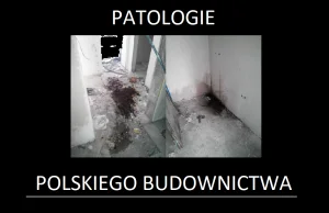 Patologie polskiego budownictwa