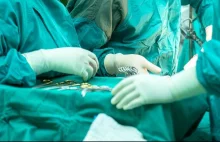 Lekarze handlowali organami zmarłych. Bliskim podsuwali fałszywe formularze