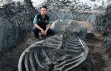 Szkielet sprzed tysięcy lat. Nietypowe odkrycie w Tajlandii