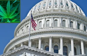 USA - W przyszłym tygodniu głosowanie nad projektem legalizacji marihuany
