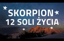 SKORPION - 12 SOLI ŻYCIA - MAGAVENA