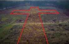 Akt strzelisty Lasów Państwowych. Zasadzono las w kształcie krzyża.