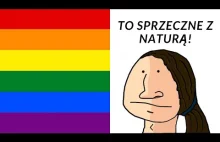 Homoseksualizm - najczęstsze argumenty przeciwników