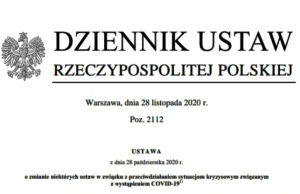 Ustawa antycovidowa: MASECZKI i reszta absurdów. Opinie prawne. - Rebel 24