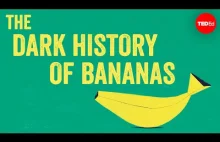 Mroczna historia bananów czyli skąd się wzięło określenie "republiki bananowe"?