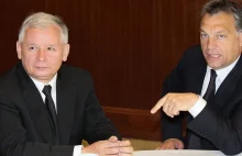 Kaczyński odrzucił zaproszenie na spotkanie z Orbanem.