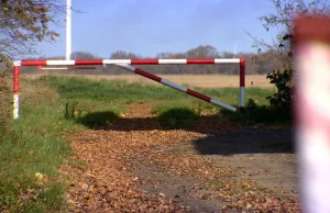 Wójt postawił szlaban na polnej drodze. Krowy mają chodzić szosą