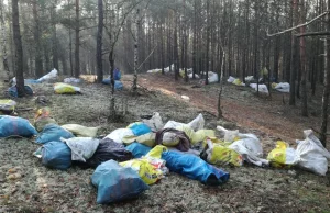 Worki ze śmieciami porzucone w lesie