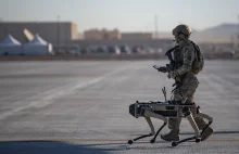 Mechaniczne „psy” rozpoczęły służbę w bazie sił powietrznych USA na Florydzie