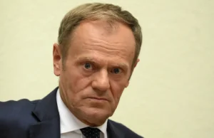 Donald Tusk najwybitniejszym Polakiem wszechczasów?