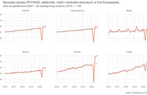 Cała Europa kupuje w czasie pandemii więcej sprzętu domowego