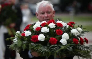 Jarosław Kaczyński sportowcem roku wg TVP. Zorganizował spacery dla setek...