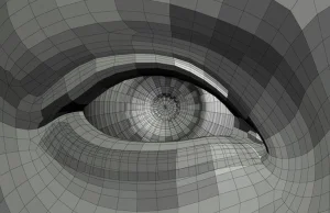 Holenderscy Naukowcy zbudowali bioniczne oko, które pozwala widzieć kształty