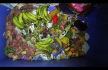 "Jak można wyrzucać jedzenie,obok ludzi ktorzy nie mają co jeść"...#freeganizm