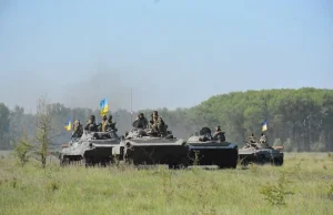 Próba odbicia Donbasu i Krymu w oparciu o Turcję