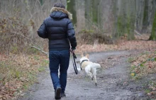 Pandemia porą na pupila. Polacy zapragnęli kupować zwierzaki