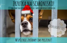 Zimowa zrzutka na Wrocławskie Schronisko.