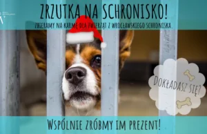 Zimowa zrzutka na Wrocławskie Schronisko.