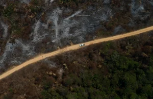 Amazonia ginie. Wylesianie postępuje najszybciej od 12 lat