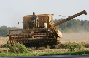 GUS bije na alarm. W Polsce postępuje zakwaszenie ziemi